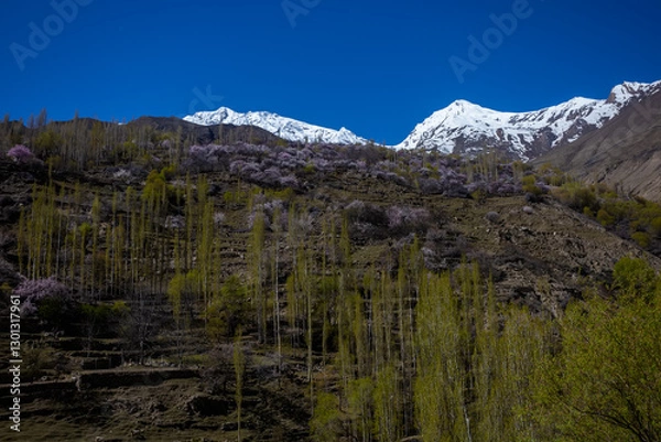Fototapeta Natural view along Karakorum mountains atThe Hunza Valley is a mountainous valley in the northern part of the Gilgit-Baltistan region of Pakistan,