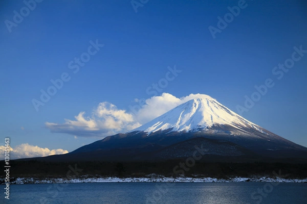 Fototapeta 精進湖から望む富士山