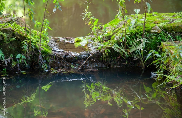 Fototapeta Small waterfall between two planes of a watercourse with reflected foliage