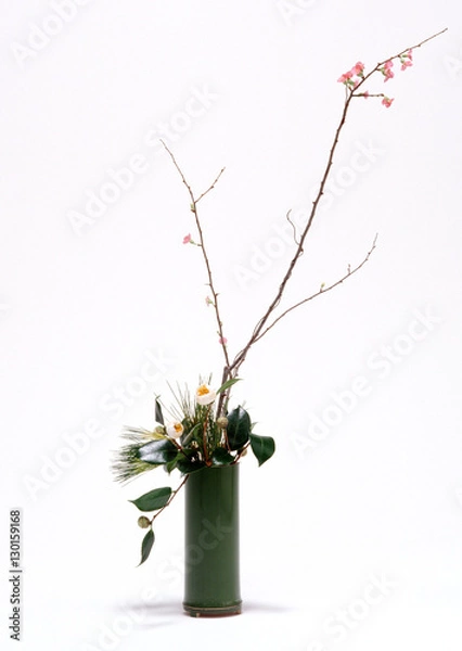 Obraz Arranged flower