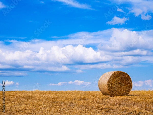 Fototapeta 北海道 美瑛町 ロールベール サイレージ