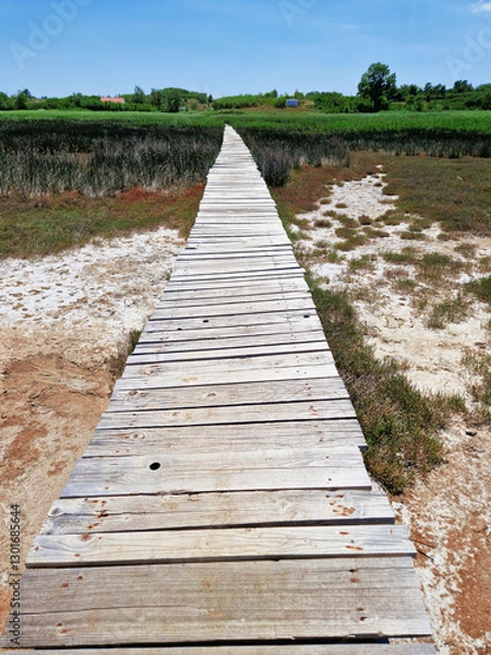 Obraz Wooden boardwalk through a marshland under a clear blue sky