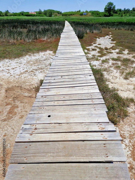 Obraz Wooden boardwalk through a marshland under a clear blue sky