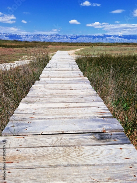 Obraz Wooden boardwalk through a marshland under a clear blue sky