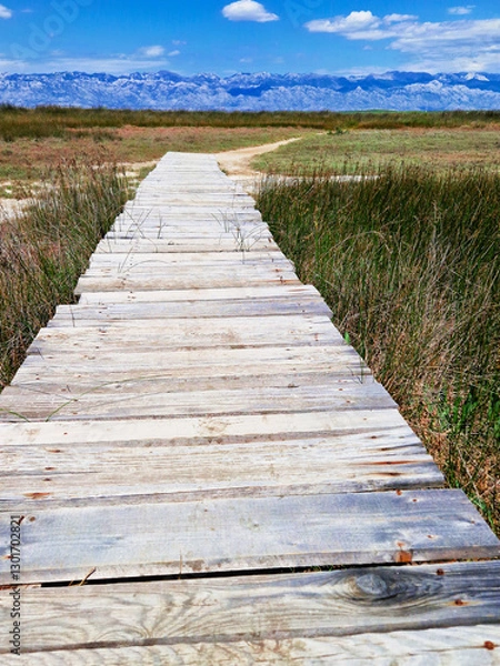 Obraz Wooden boardwalk through a marshland under a clear blue sky