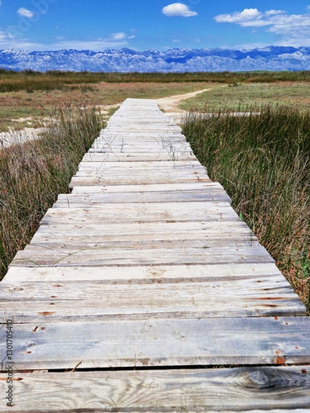 Obraz Wooden boardwalk through a marshland under a clear blue sky