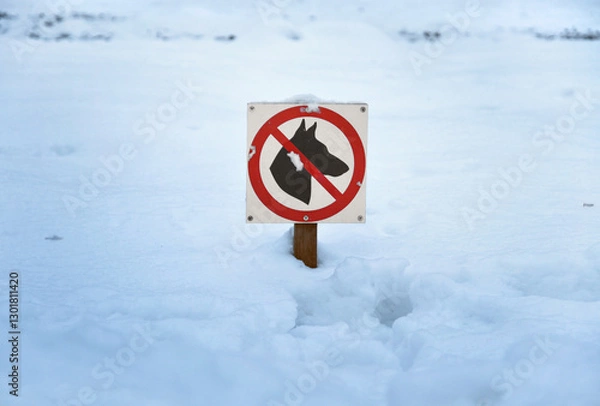 Obraz Winter lawn covered with snow