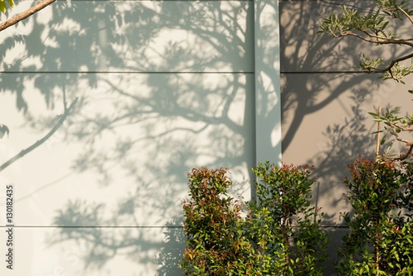 Fototapeta Tree Shadows background.