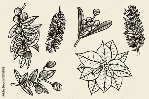 Obraz Vector set with Christmas plants.