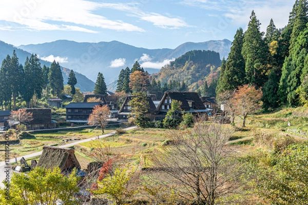 Fototapeta 世界遺産 五箇山相倉合掌造り集落 秋
