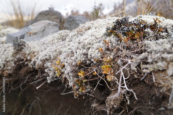 Fototapeta Vulkan_Landschaft_Neuseeland2