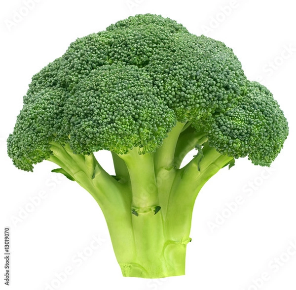 Obraz brokuły