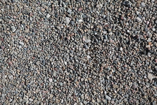 Obraz Pea gravel background texture, gray