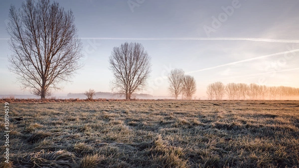 Fototapeta Nebeliger Sonnenaufgang in Brandenburg