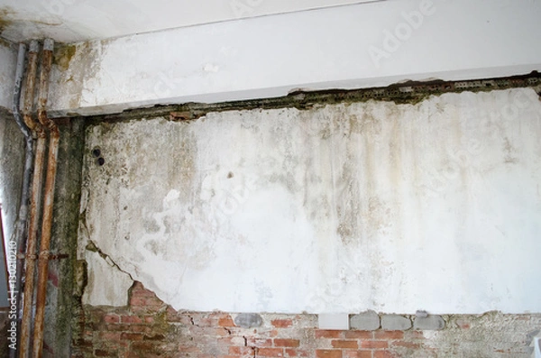 Obraz Mold in the old wall 