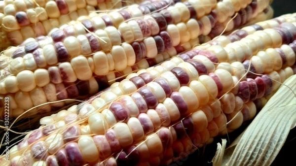 Obraz colorful corn on the cob