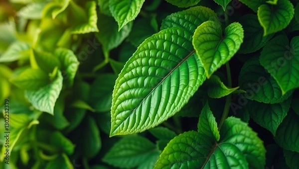 Fototapeta Vibrant Green Leaf Texture: Lush Botanical Foliage Background