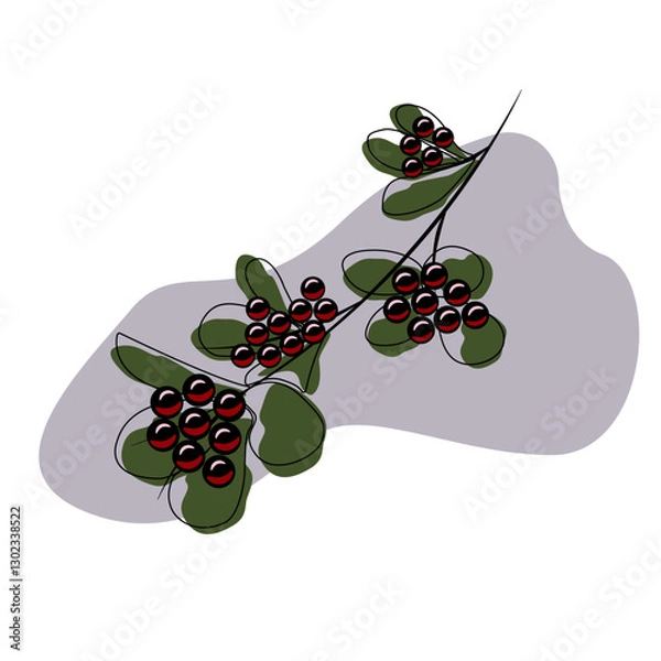 Obraz red currant with leaves vector illustration
