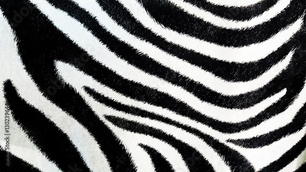 Fototapeta Zebra pattern, black and white background, textured wallpaper