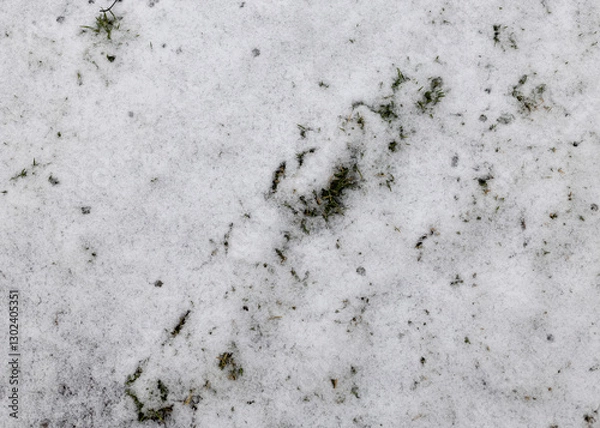 Fototapeta Top view, snow texture. Background, winter period