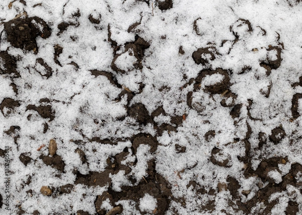Fototapeta Top view, snow texture. Background, winter period