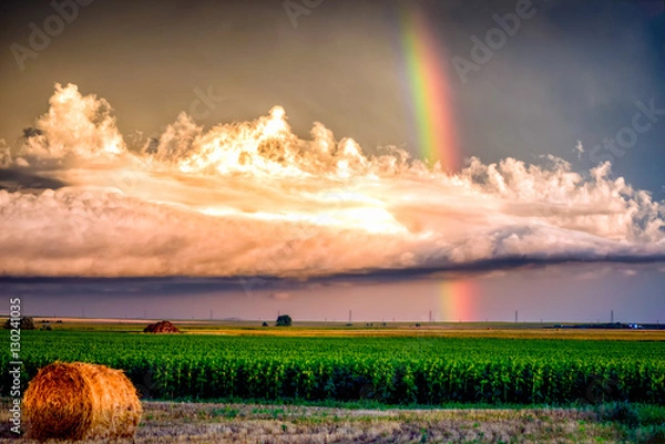 Obraz Calm Before the Storm