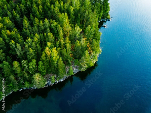Fototapeta Aerial view of blue lake with green tree woods on a sunny summer day in Finland.