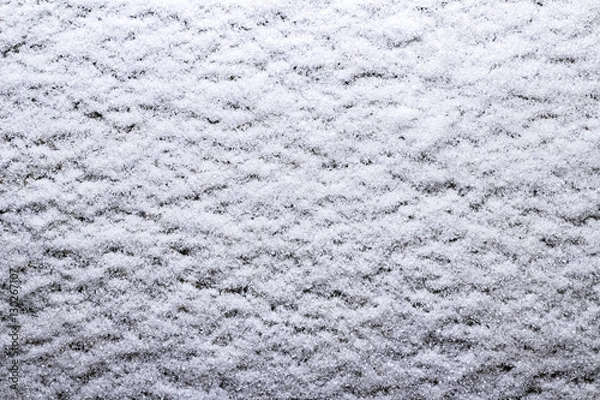 Obraz Snow carpet close up, macro
