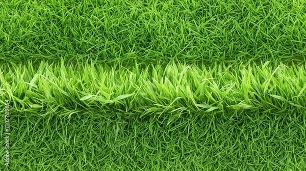 Fototapeta A grassy field with a path running through it from aerial view