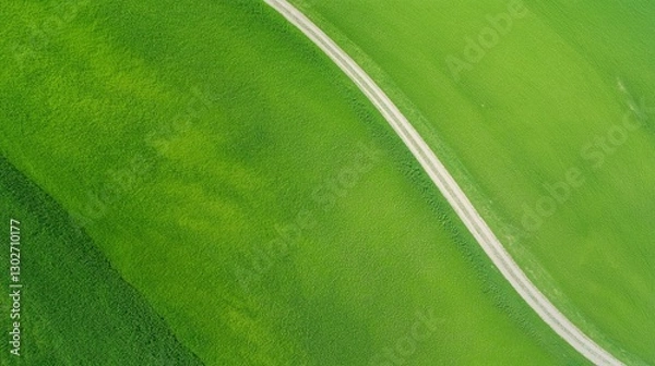 Fototapeta A grassy field with a path running through it from aerial view