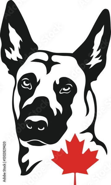 Obraz belgian malinois silhouette logo vector illustration