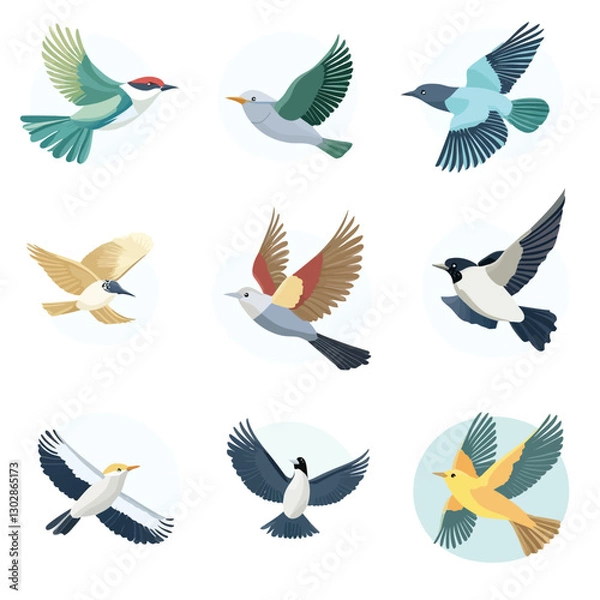 Fototapeta Illustrated assorted birds in flight on white background isolated flat lay