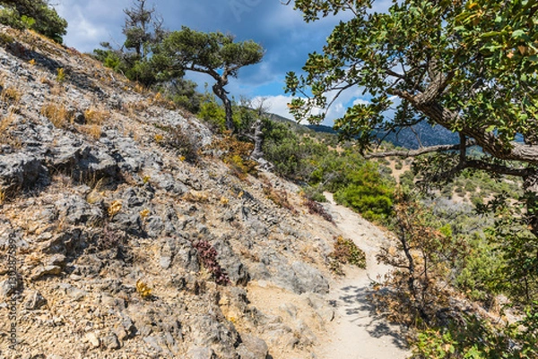 Obraz Views from the tourist mountain trail to Peak Cosmos on the Karaul-Oba mountain range on the Black Sea coast near the Golitsyn trail near  the village of Novy Svet, Crimea, Russia.