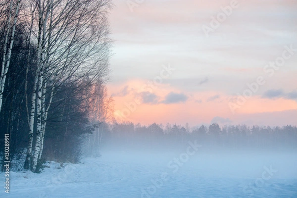 Obraz Fog in the forest in winter.