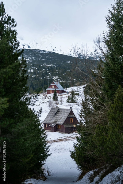 Obraz Mountain Settlement Amid a Winter Landscape
