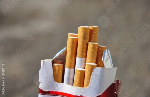 Fototapeta open pack of cigarettes on blurred background