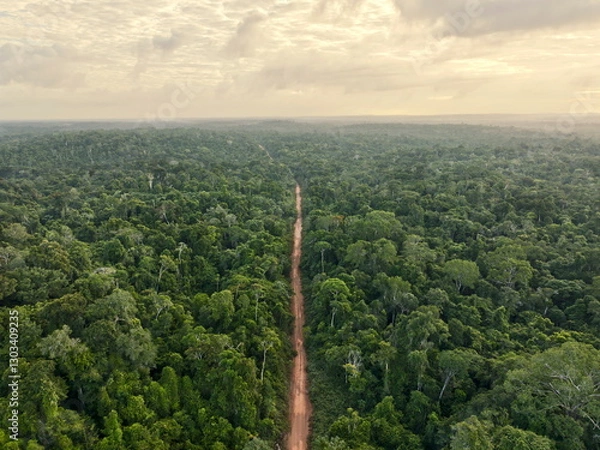 Obraz Amazone rainforest road in Suriname.