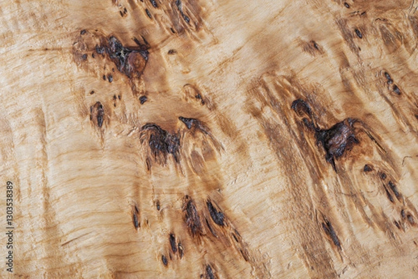 Fototapeta Burl poplar characteristic wood grain. Wood defect. Tree disease. Rare wooden background texture