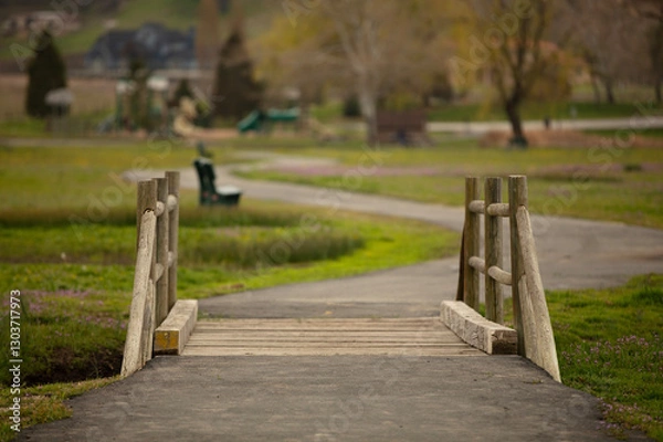 Obraz A wooden bridge with a park like blurred background.  No people and a text area.