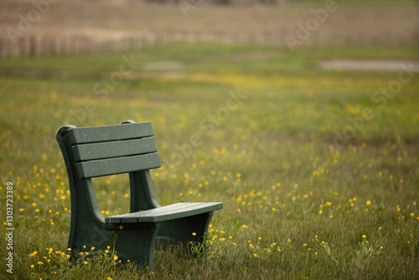 Obraz A green bench in a park like setting of yellow flowers in a meadow.