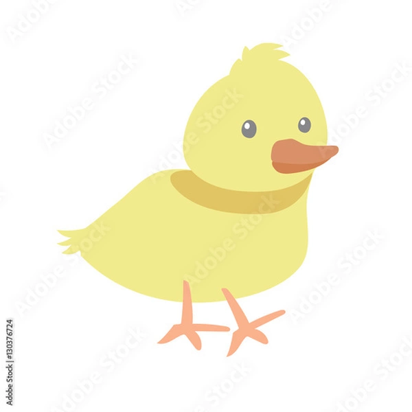 Obraz Cute Cartoon  Duckling on White Background