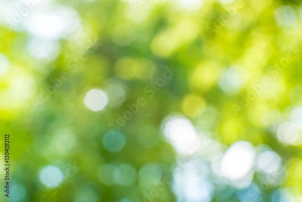 Obraz Abstract nature blurred background