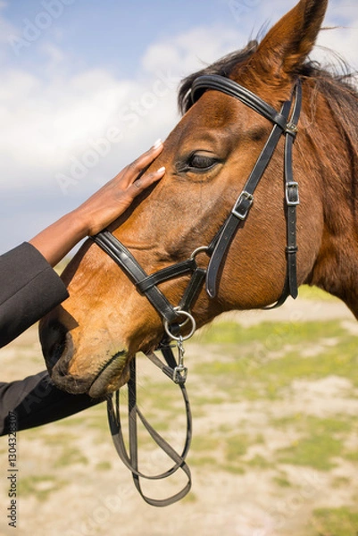 Fototapeta Close-up of a woman's hand stroking a horse's face.
