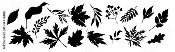 Fototapeta Set of black silhouettes of autumn leaves and branches. Fall maple, oak leaves, twigs. Vector Black outline illustrations isolated 