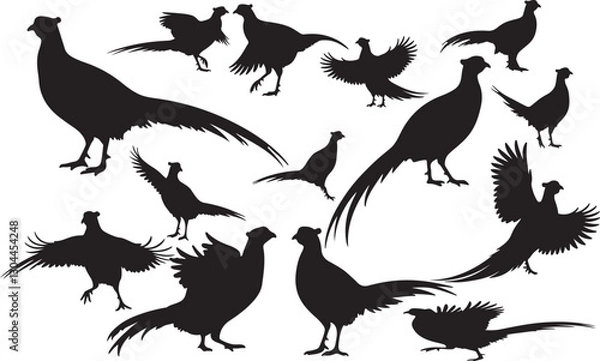 Obraz Pheasant Silhouettes