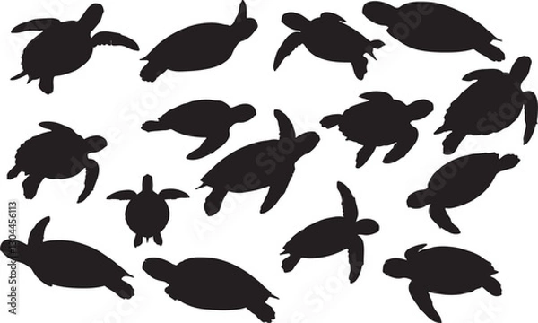 Obraz Sea Turtle Silhouettes