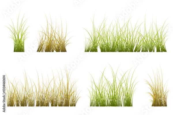 Fototapeta log thin grass vector set