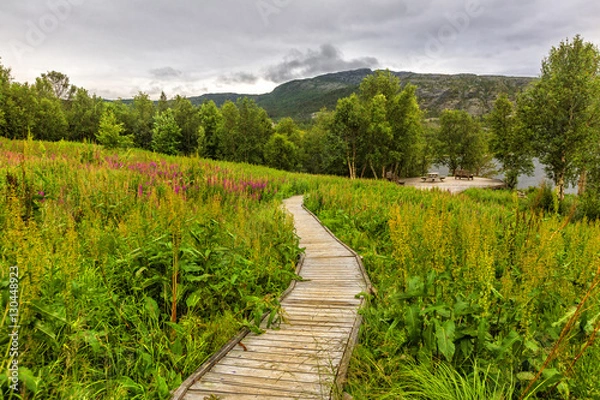 Fototapeta Wooden walkway to the viewpoint of beautiful fjord  among meadow of flowers,  on cloudy day, Nothen Norway.