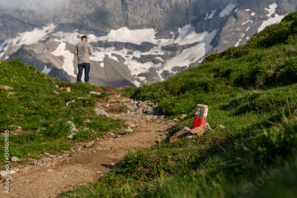 Obraz A hiking path to a snowy mountain region in Switzerland
