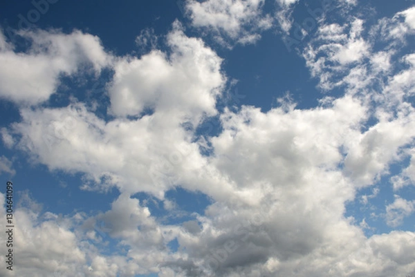 Obraz 青い空と白い雲